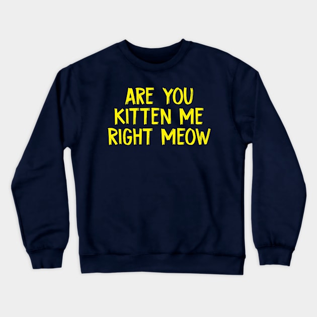 Are You Kitten Me Right Meow Funny Cat Jokes Crewneck Sweatshirt by TIHONA